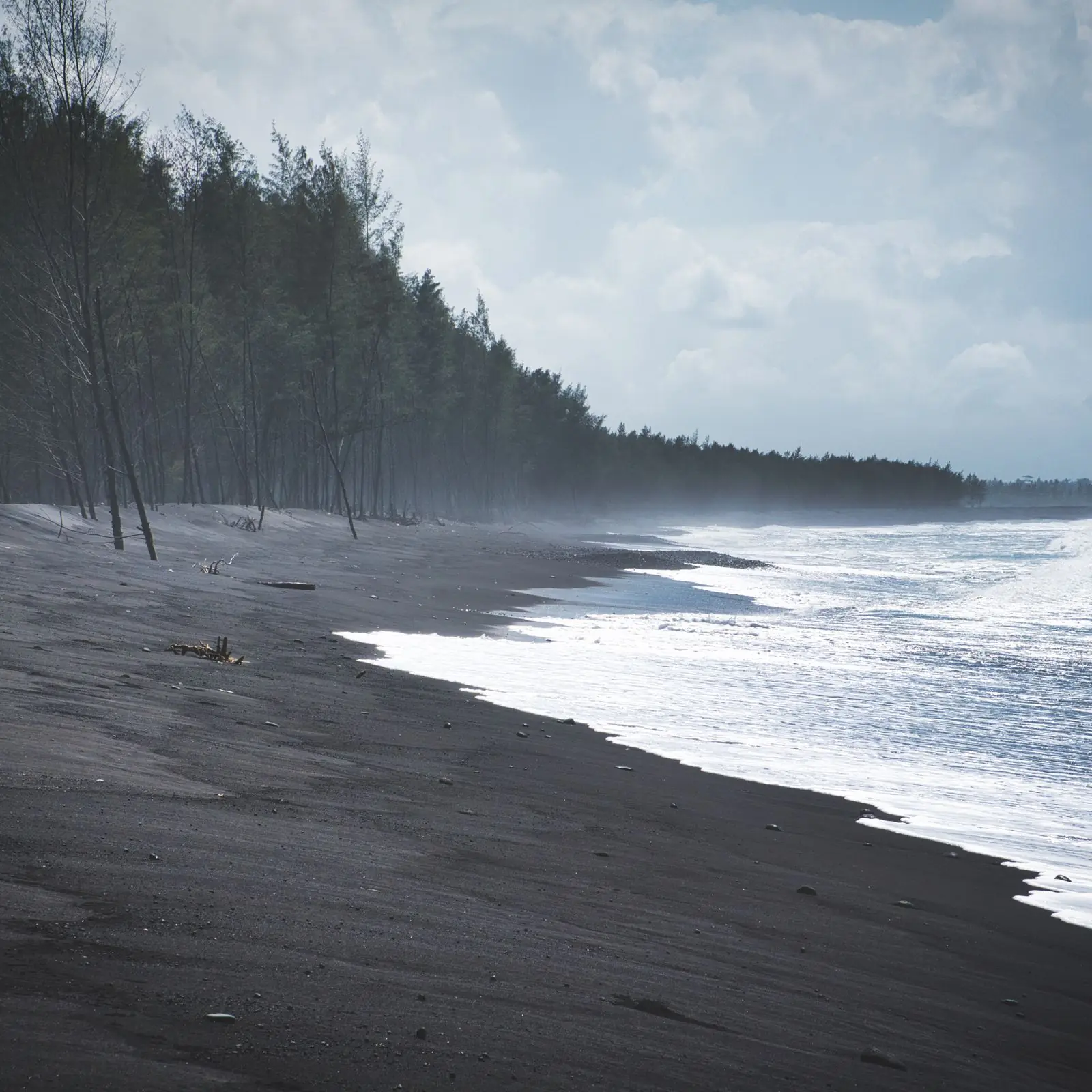 Black-sand beach with waves and a line of casuarina trees