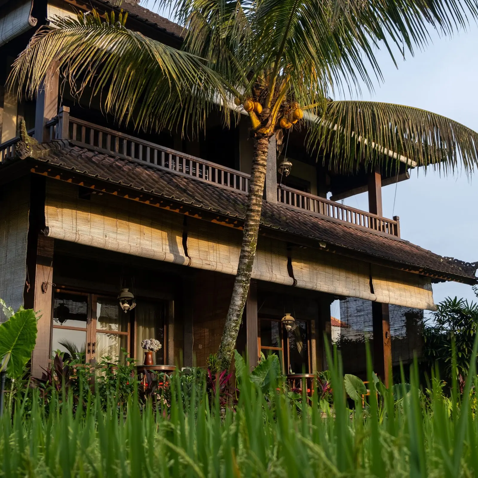 Two-storey tropical house with timber balconies behind a coconut palm